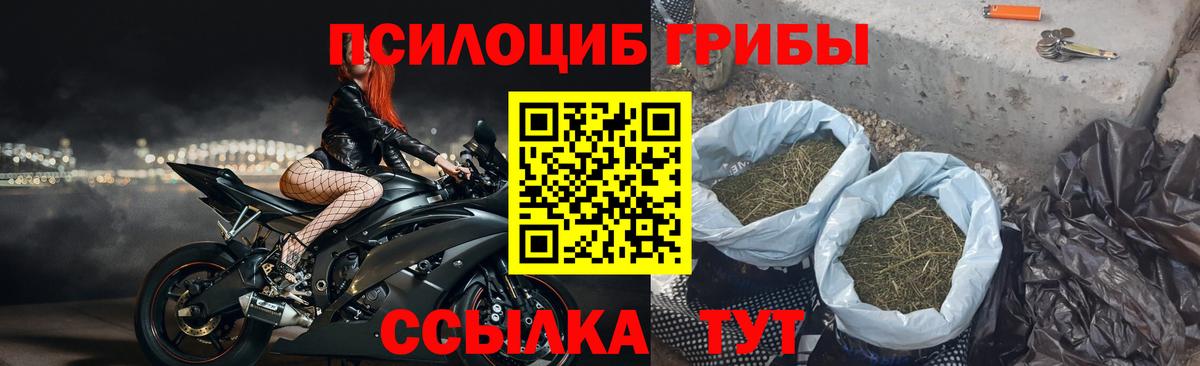 Галлюциногенные грибы ЛСД  Вход с VPN  Кулебаки 