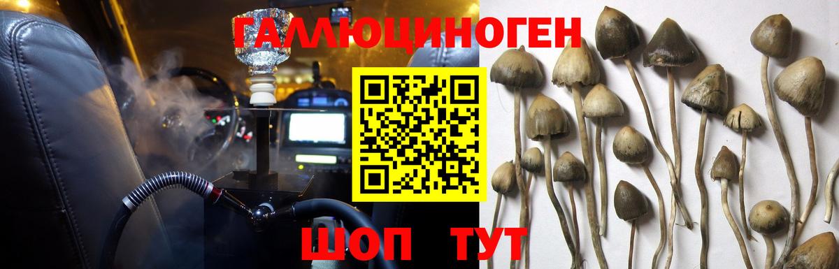 Псилоцибиновые грибы GOLDEN TEACHER Кулебаки